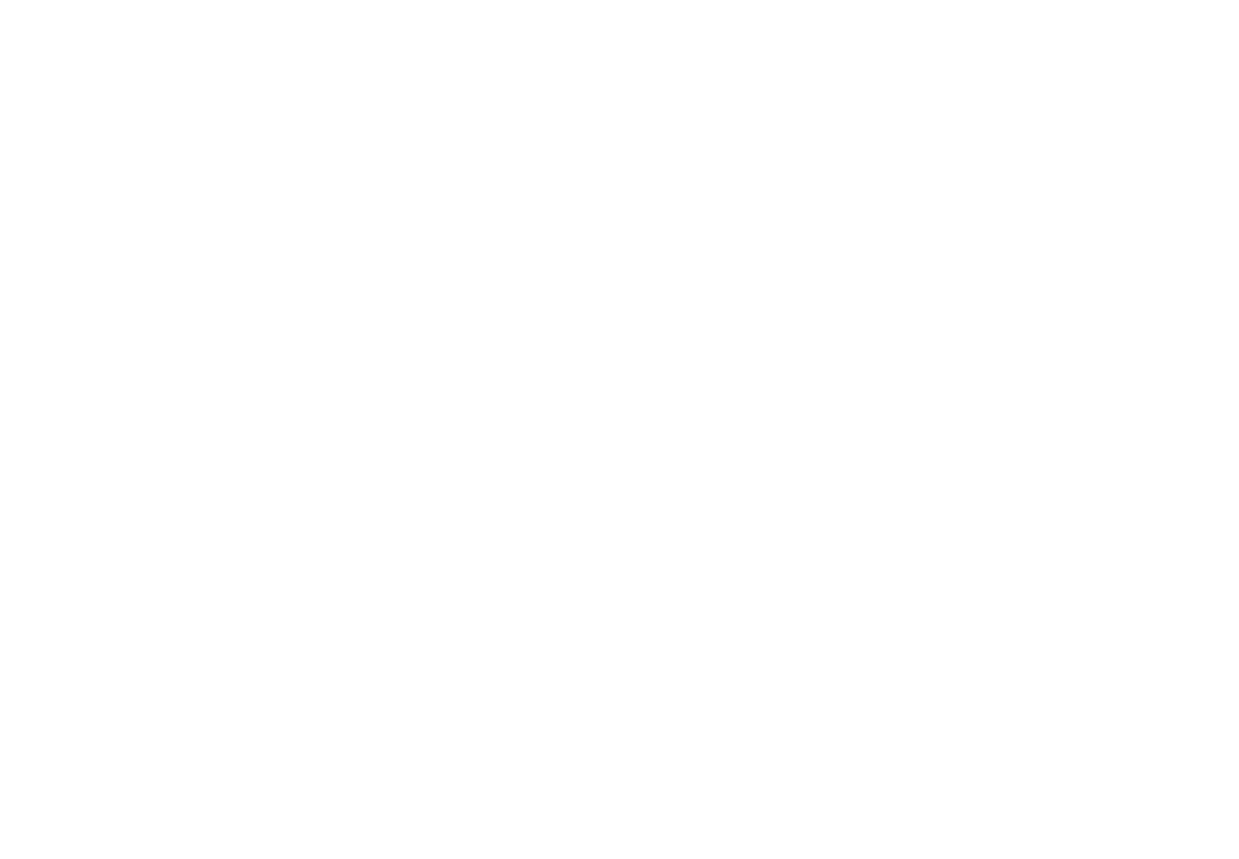 Datapunk